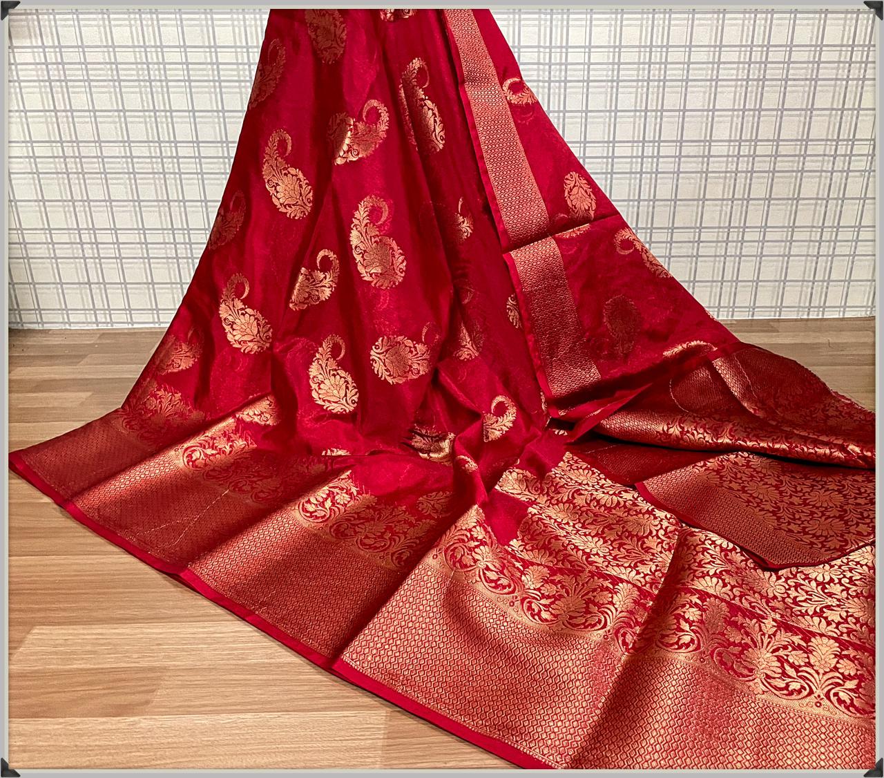 Banarasi Warm Silk Soft Saree MorePankhi design