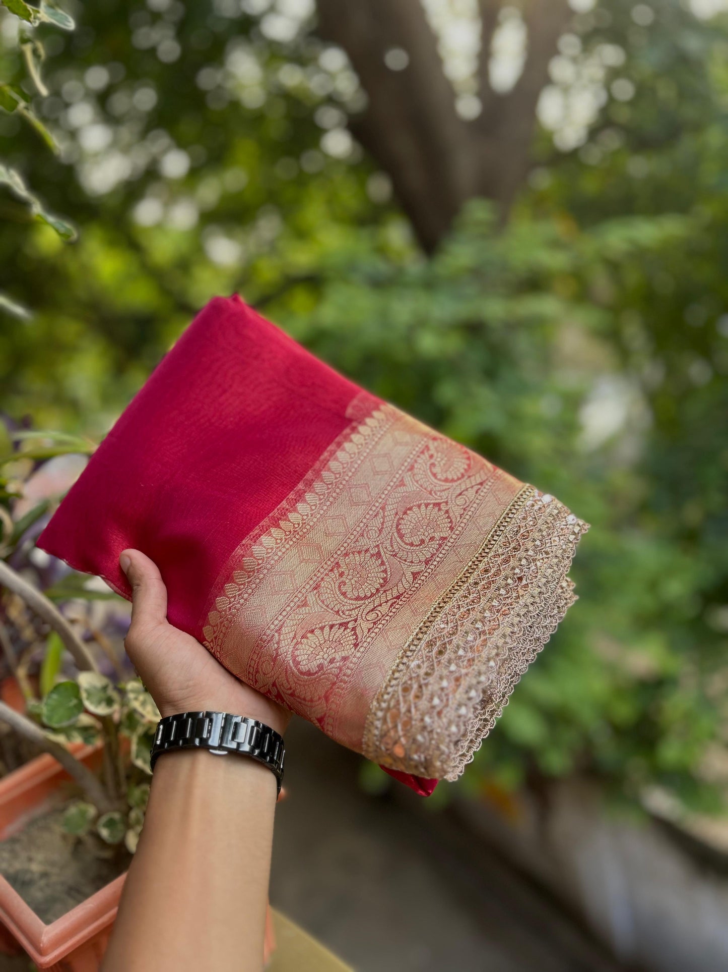 Banarasi Tissue Silk Sarees (with Lace)